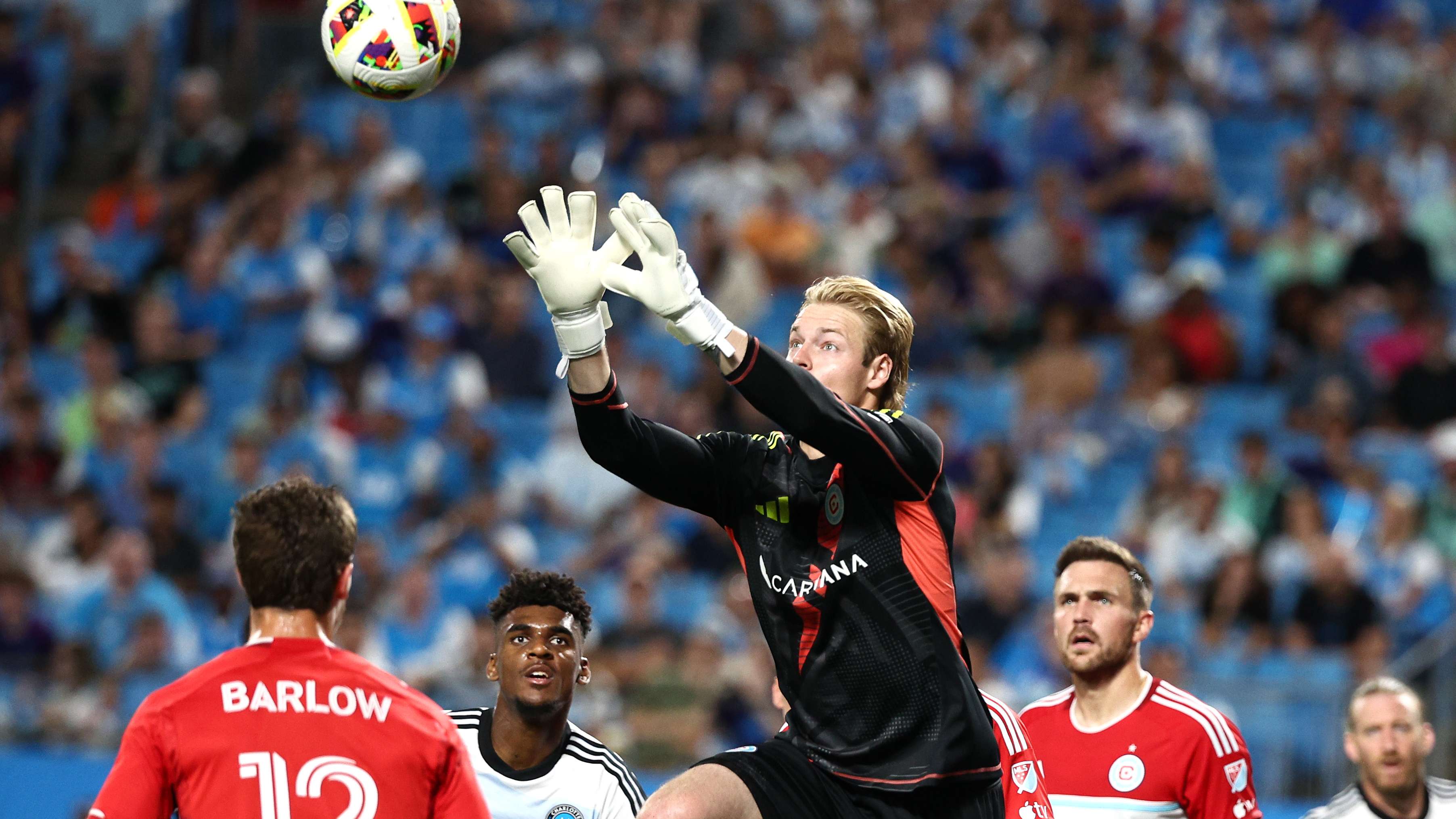 截然不同 截然不同