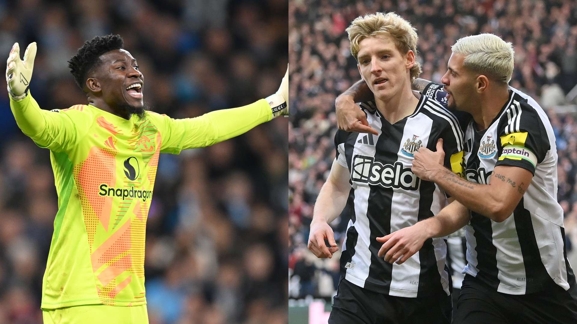 莱万多夫斯 莱万多夫斯